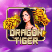 Dragon Tiger super king